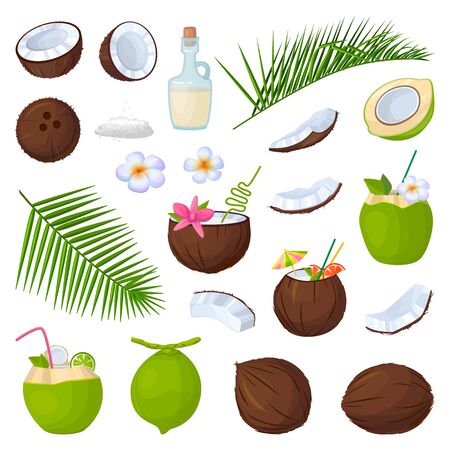 Coconut isolated cartoon set icon. Vector illustration coco on white background. Vector cartoon set icon coconut.のイラスト素材
