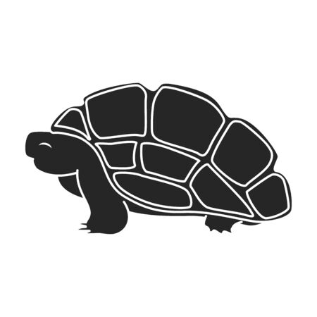 Sea turtle vector icon.のイラスト素材