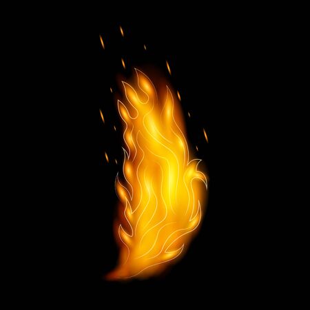Flame vector icon.Realistic vector icon isolated on white background flame.のイラスト素材