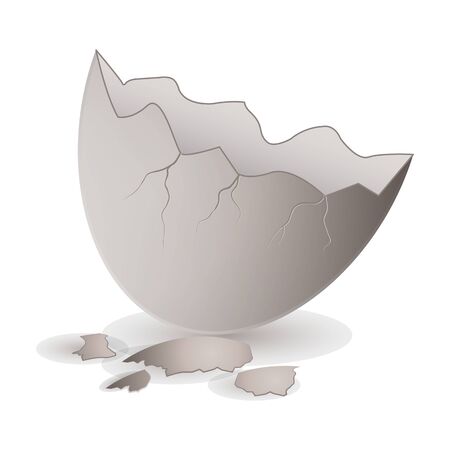 Half egg vector icon. Realistic vector icon isolated on white background half egg.のイラスト素材