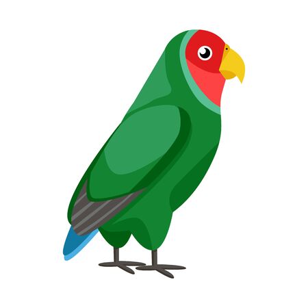 Isolated object of parrot and green icon. Collection of parrot and brazilian stock symbol for web.のイラスト素材