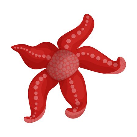 Starfish vector icon.Cartoon vector logo isolated on white background starfish.のイラスト素材