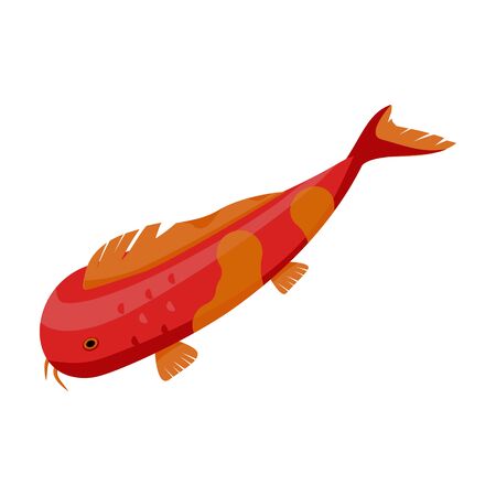 Carp vector icon.Cartoon vector logo isolated on white background carp.のイラスト素材