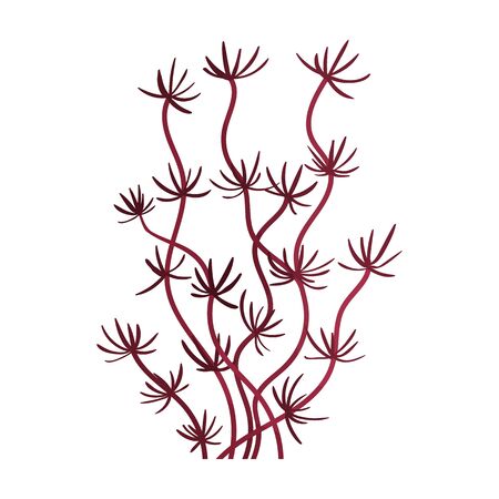 Seaweed vector icon.Cartoon vector icon isolated on white background seaweed.のイラスト素材