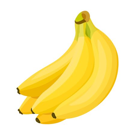 Bunch banana vector icon.Cartoon vector icon isolated on white background bunch banana.のイラスト素材