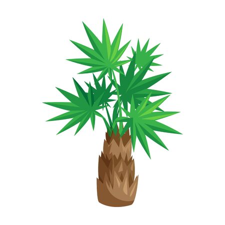 Palm tree vector icon.Cartoon vector icon isolated on white background palm tree.のイラスト素材