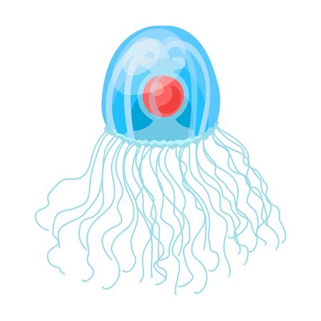 Jellyfish vector icon.Cartoon vector icon isolated on white background jellyfish.のイラスト素材