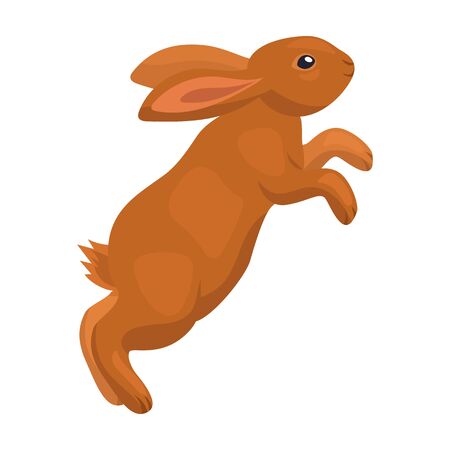 Rabbit vector icon.Cartoon vector icon isolated on white background rabbit.のイラスト素材