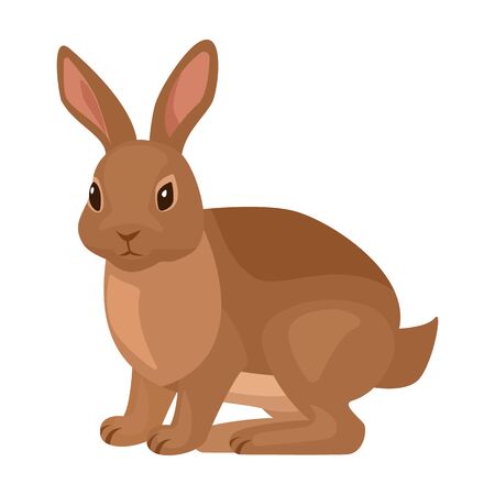 Rabbit vector icon.Cartoon vector icon isolated on white background rabbit.のイラスト素材