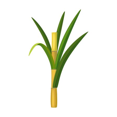 Stem sugar cane vector icon.Cartoon vector icon isolated on white background stem sugar cane.のイラスト素材