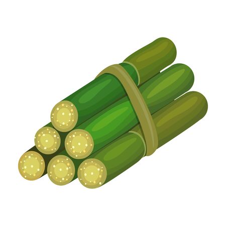 Stem sugar cane vector icon.Cartoon vector icon isolated on white background stem sugar cane.のイラスト素材