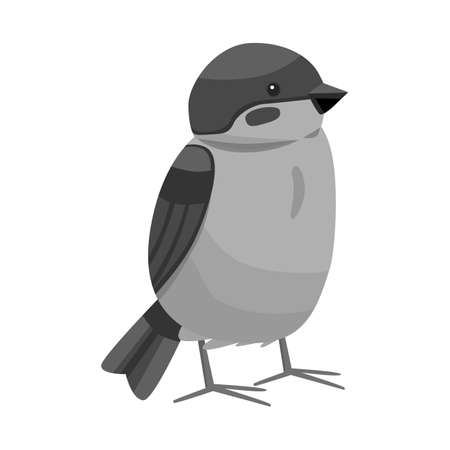 Vector design of bird and redstart sign. Collection of bird and decorative vector icon for stock.のイラスト素材