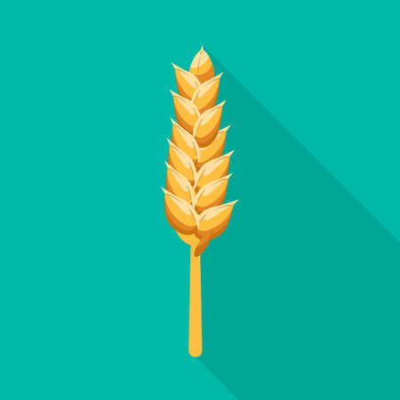 Vector illustration of wheat and stalk sign. Collection of wheat and gold stock symbol for web.のイラスト素材