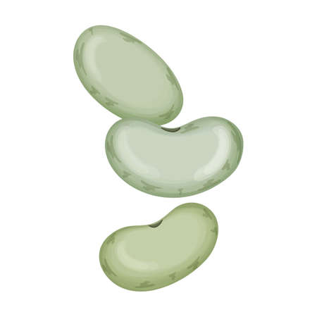 Beans vector cartoon icon. Vector illustration bean on white background. Isolated cartoon...