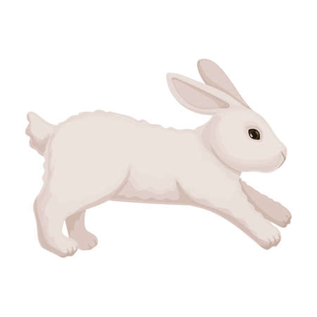 Rabbit vector cartoon icon. Vector illustration bunny on white background. Isolated cartoon illustration icon of rabbit.のイラスト素材