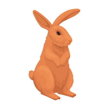 Rabbit vector cartoon icon. Vector illustration bunny on white background. Isolated cartoon illustration icon of rabbit.のイラスト素材