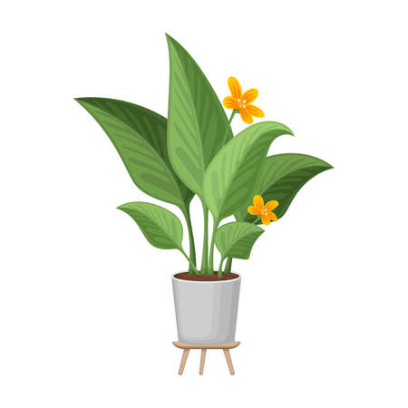 Flowerpot vector cartoon icon. Vector illustration flowerpot on white background. Isolated cartoon illustration icon of flower pot.のイラスト素材