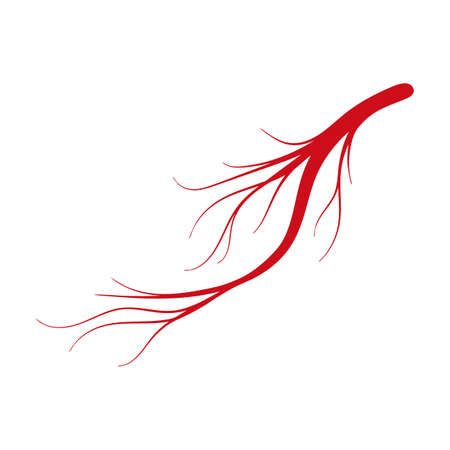 Vein of human vector cartoon icon. Vector illustration artery of blood on white background. Isolated cartoon illustration icon of vein of human .のイラスト素材