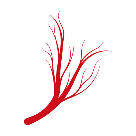 Vein of human vector cartoon icon. Vector illustration artery of blood on white background. Isolated cartoon illustration icon of vein of human .のイラスト素材