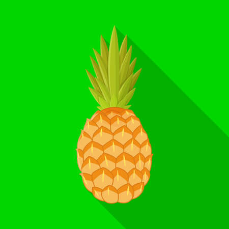 Vector illustration of Pineapple and vitamin . Web element of Pineapples and tropical vector icon for stock.のイラスト素材