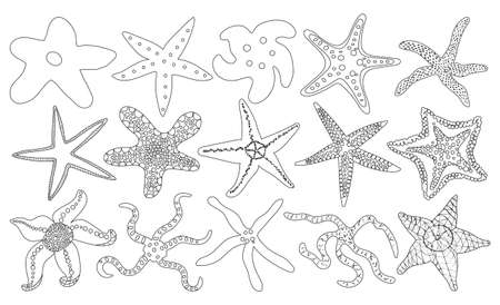 Sea starfish vector outline set icon. Vector illustration marine star on white background. Isolated outline set icon sea starfish.のイラスト素材
