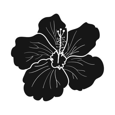 Isolated object of hibiscus and rose symbol. Graphic of hibiscus and flower stock symbol for web.のイラスト素材