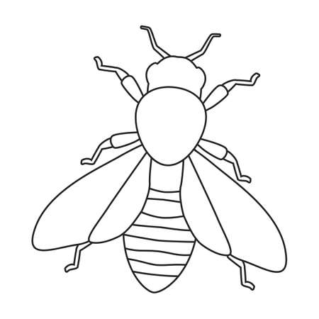 Honey bee vector outline icon. Vector illustration animal of honeybee on white background. Isolated outline illustration icon of honey bee.のイラスト素材