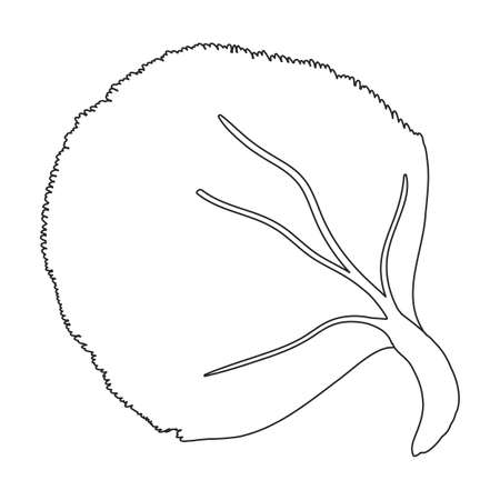 Coral vector outline icon. Vector illustration reef of sea on white background. Isolated outline illustration icon of coral reef .のイラスト素材