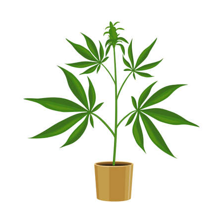 Vector illustration of marijuana and pot icon. Web element of marijuana and hemp stock vector illustration.のイラスト素材
