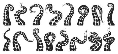 Octopus of tentacle isolated black icon. Sea squid vector black set icon. Vector illustration octopus of tentacle on white background .のイラスト素材