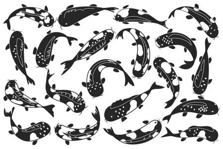 Asian carp vector black set icon. Vector illustration fish on white background. Black set icon japan carp.のイラスト素材