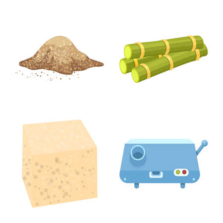 Vector illustration of sugarcane and plant icon. Collection of sugarcane and organic vector icon for stock.のイラスト素材