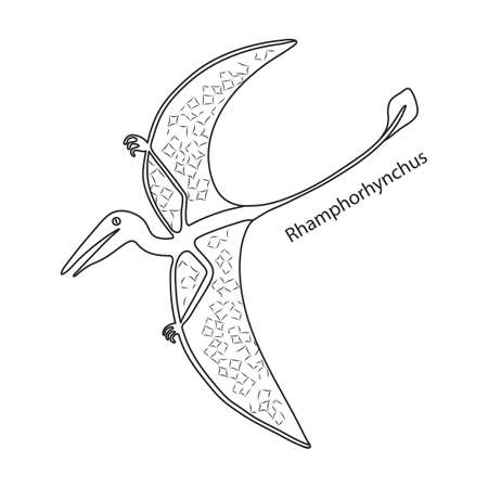 Dinosaur vector icon.Outline vector icon isolated on white background dinosaur.のイラスト素材