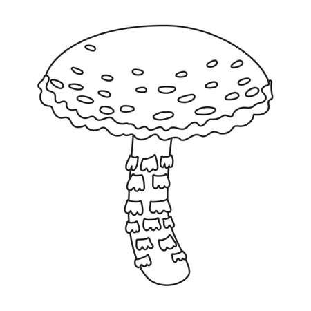 Amanita vector icon.Outline vector icon isolated on white background amanita.のイラスト素材