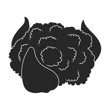 Cauliflower vector icon.Black vector icon isolated on white background cauliflower.のイラスト素材