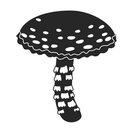 Amanita vector icon.Black vector icon isolated on white background amanita.のイラスト素材