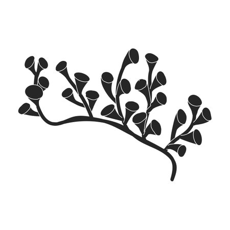 Seaweed vector icon.Black vector icon isolated on white background seaweed.のイラスト素材