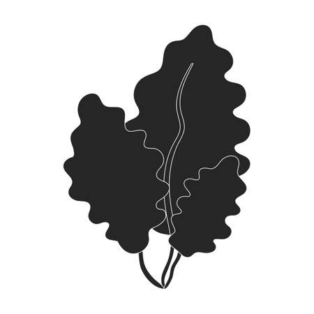 Seaweed vector icon.Black vector icon isolated on white background seaweed.のイラスト素材