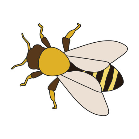 Honey bee vector icon.Color vector logo isolated on white background honey bee.のイラスト素材