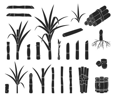 Sugar cane isolated black set icon. Vector black set icons sugar cane. Vector illustration sugar cane on white background.のイラスト素材