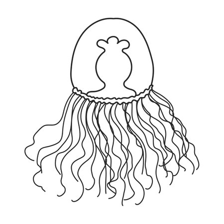 Jellyfish vector icon.Outline vector logo isolated on white background jellyfish.のイラスト素材