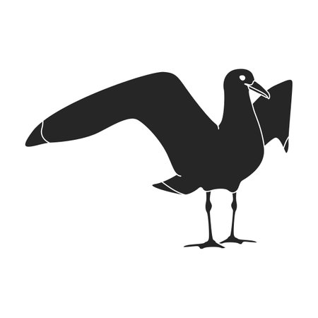 Bird gull vector icon.Black vector logo isolated on white background bird gull.のイラスト素材