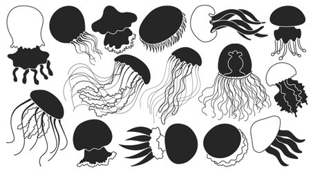Jellyfish vector black icon. Isolated black set icons medusa.Vector illustration jellyfish on white background .のイラスト素材