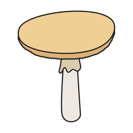 Amanita vector icon. Color vector icons isolated on white background amanita.のイラスト素材
