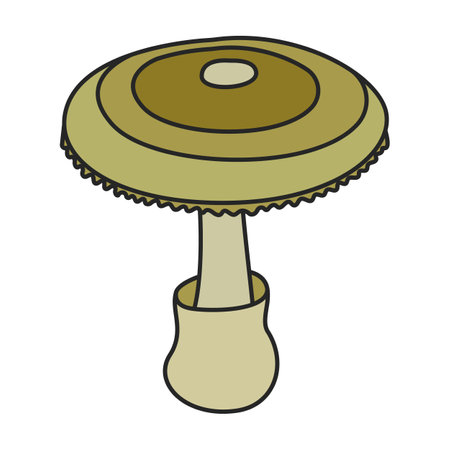 Amanita vector icon. Color vector icons isolated on white background amanita.のイラスト素材