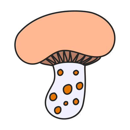 Amanita vector icon. Color vector icons isolated on white background amanita.のイラスト素材