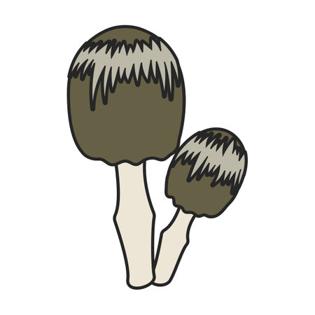 Amanita vector icon. Color vector icons isolated on white background amanita.のイラスト素材