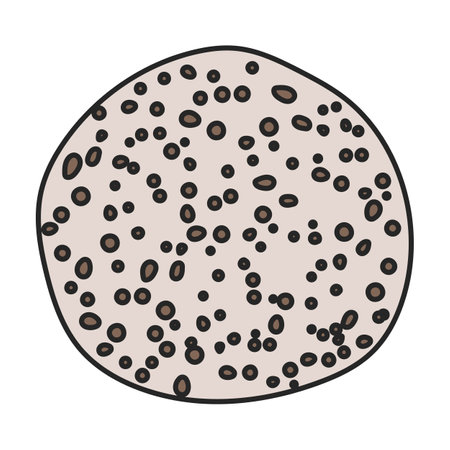 Amanita vector icon. Color vector icons isolated on white background amanita.のイラスト素材