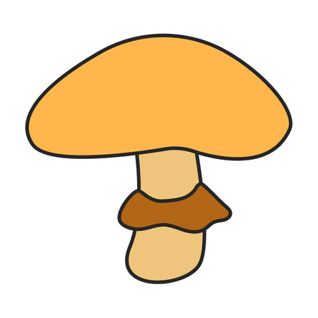 Amanita vector icon. Color vector icons isolated on white background amanita.のイラスト素材