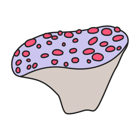 Amanita vector icon. Color vector icons isolated on white background amanita.のイラスト素材